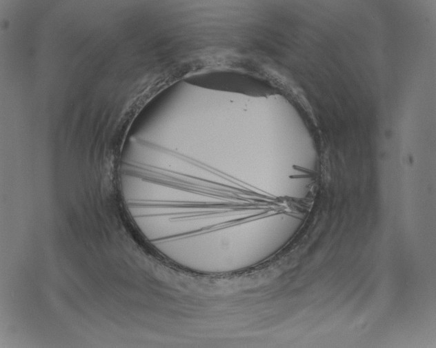 X0000073720018200608241243