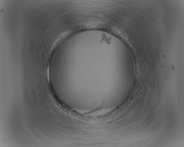 X0000073720019200608241243