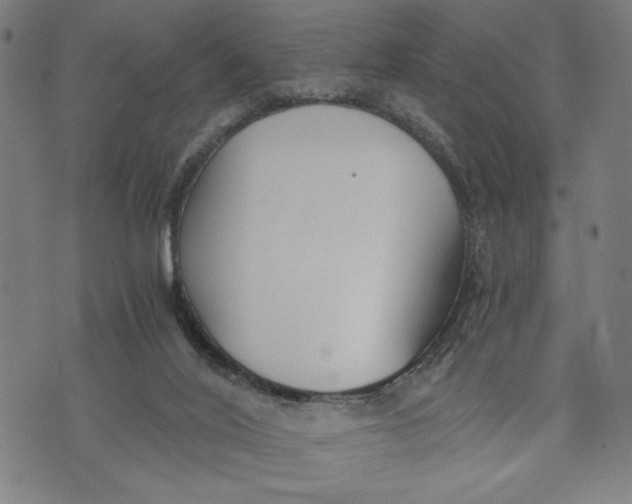 X0000073720020200608241243