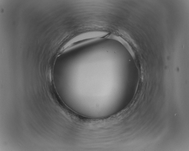 X0000073720021200608241243