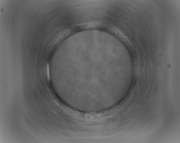 X0000073720022200608241243