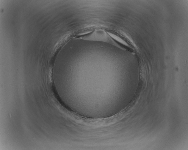 X0000073720023200608241243