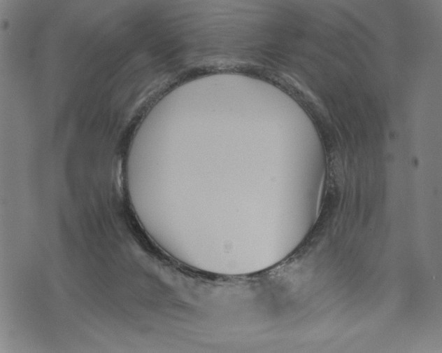 X0000073720024200608241243