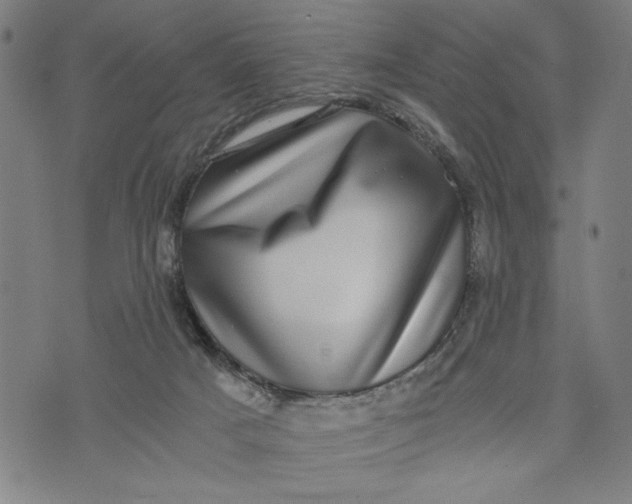 X0000073720025200608241243