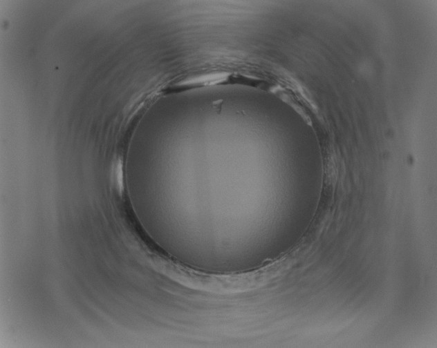 X0000073720027200608241243