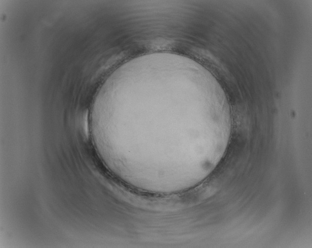 X0000073720028200608241243