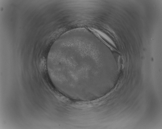 X0000073720029200608241243