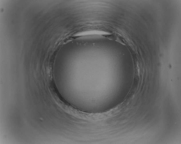 X0000073720031200608241243