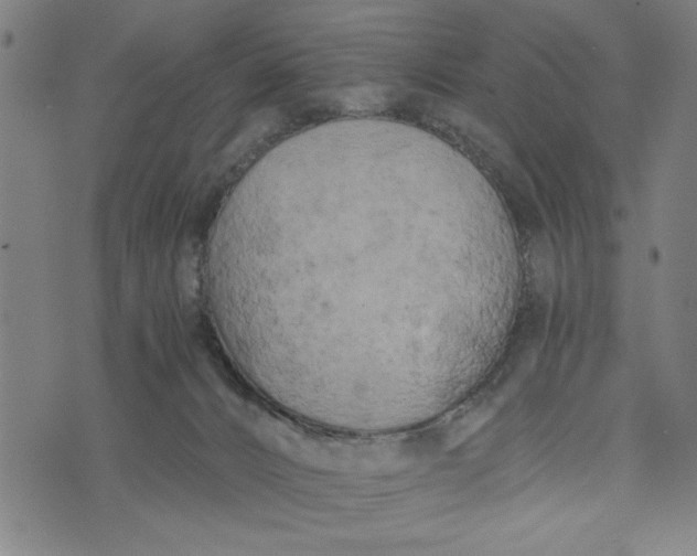 X0000073720032200608241243