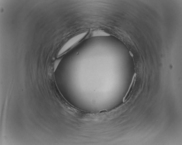 X0000073720033200608241243