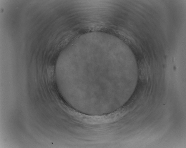 X0000073720034200608241243