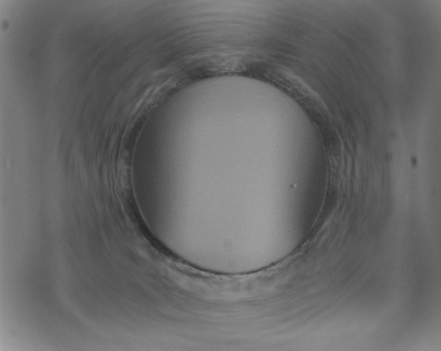 X0000073720035200608241243