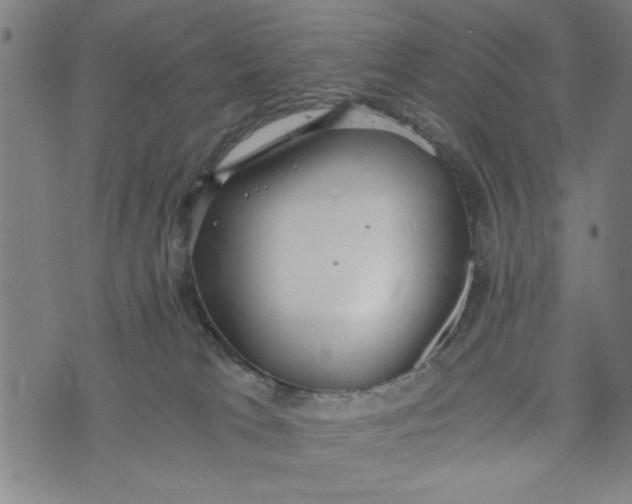 X0000073720037200608241243