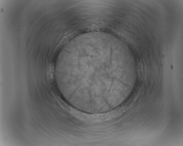 X0000073720038200608241243