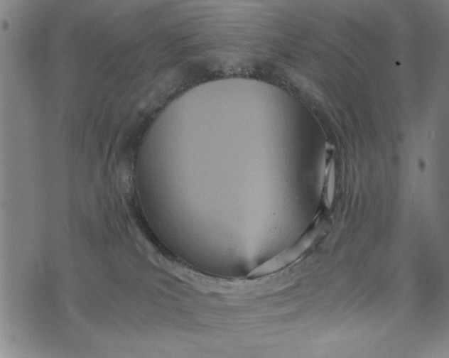 X0000073720039200608241243