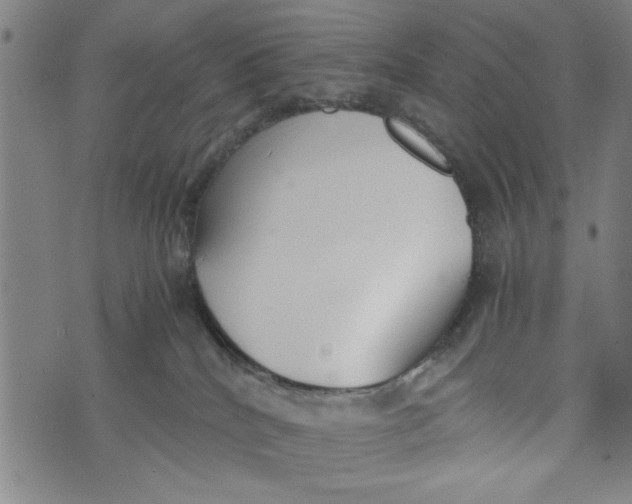 X0000073720040200608241243