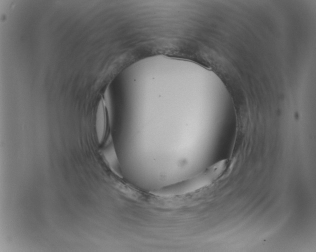 X0000073720041200608241243