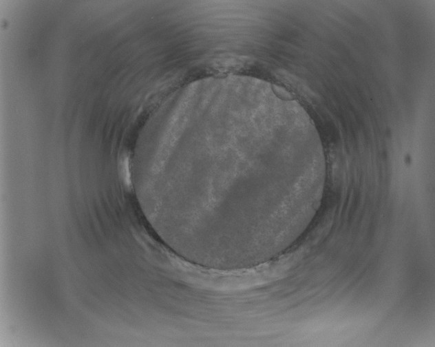 X0000073720042200608241243