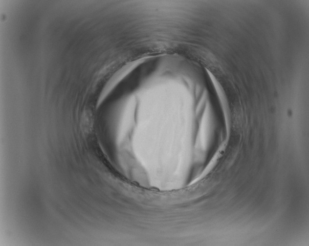 X0000073720043200608241243