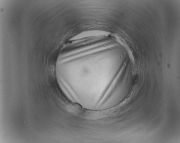 X0000073720045200608241243