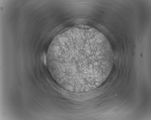 X0000073720046200608241243