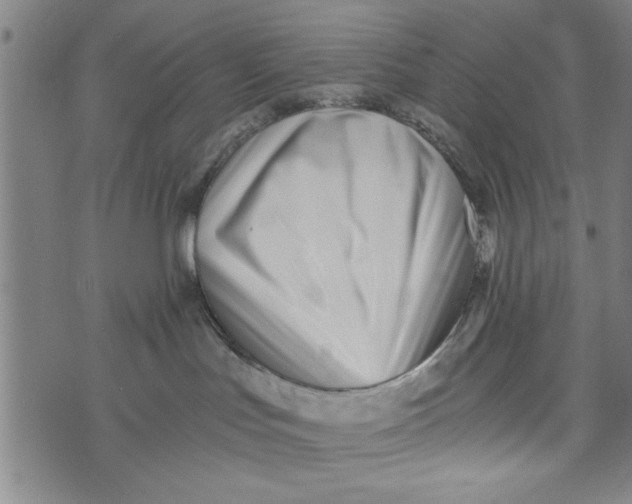 X0000073720047200608241243