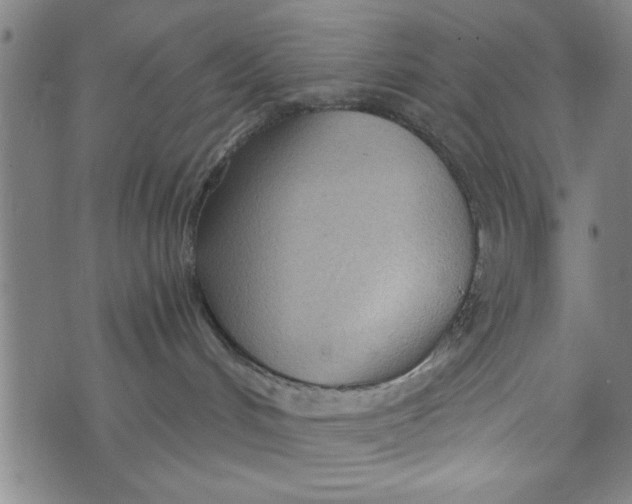 X0000073720048200608241243