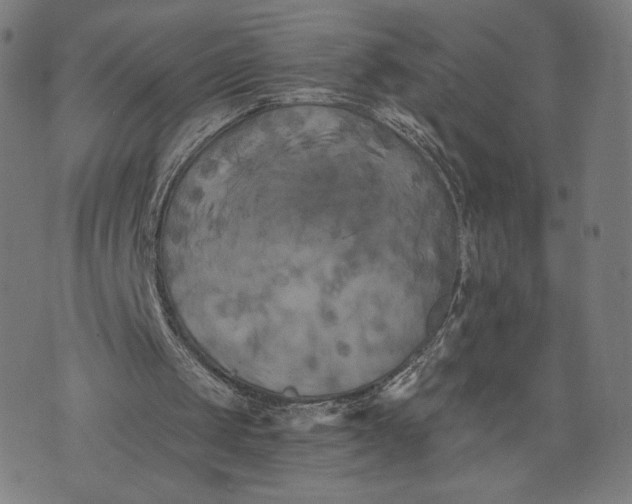 X0000073720049200608241242