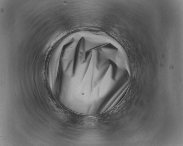 X0000073720050200608241242