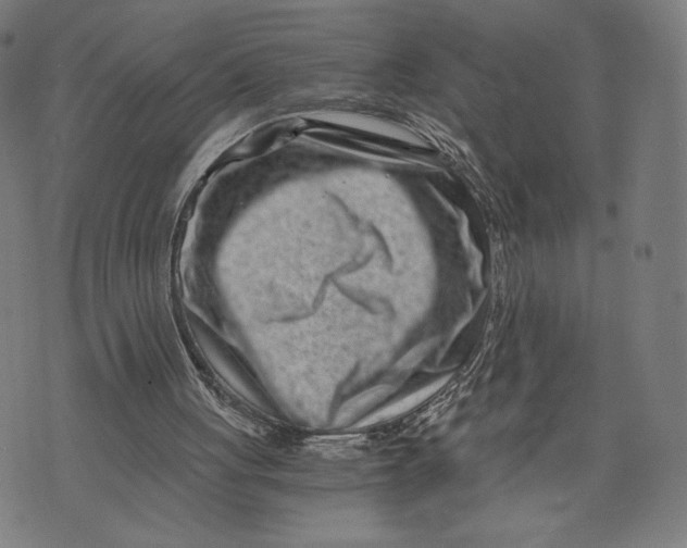 X0000073720051200608241242