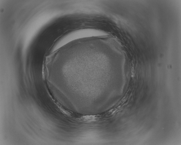 X0000073720052200608241242