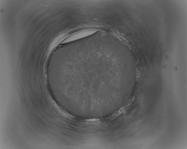 X0000073720053200608241242