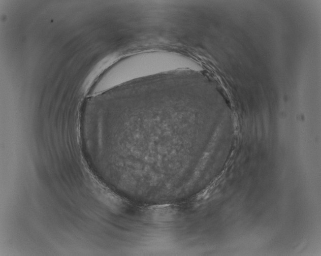 X0000073720054200608241242