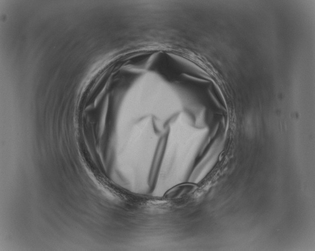 X0000073720055200608241242