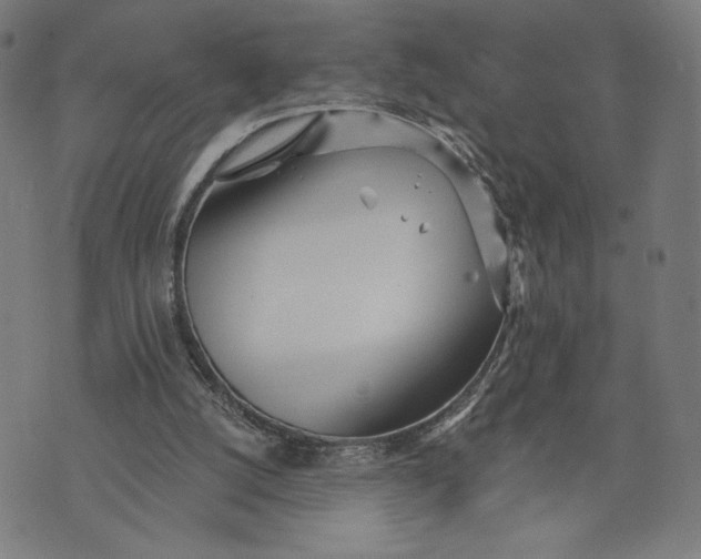 X0000073720056200608241242