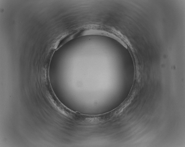 X0000073720057200608241242