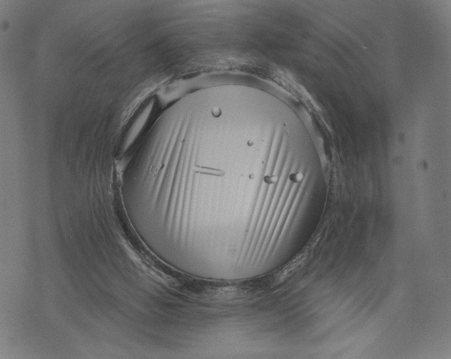 X0000073720058200608241242