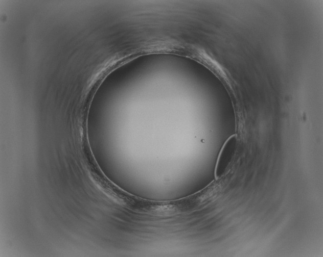 X0000073720059200608241242