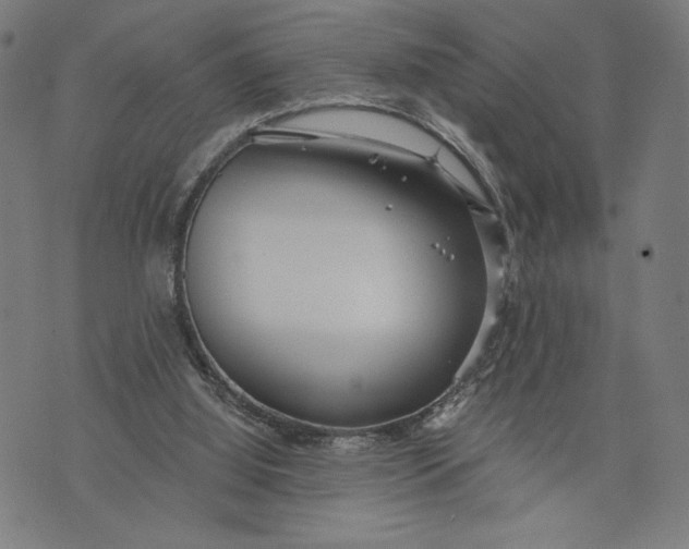 X0000073720060200608241242