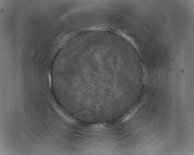 X0000073720061200608241242