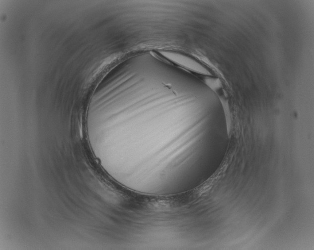 X0000073720062200608241242