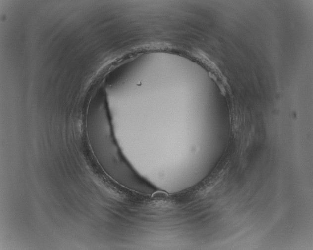 X0000073720063200608241242