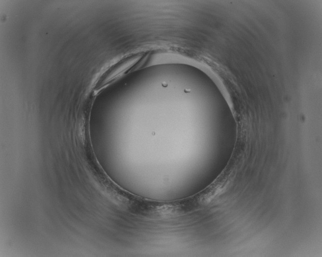 X0000073720064200608241242