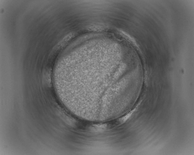 X0000073720065200608241242