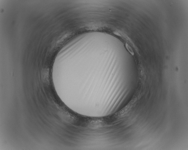 X0000073720066200608241242