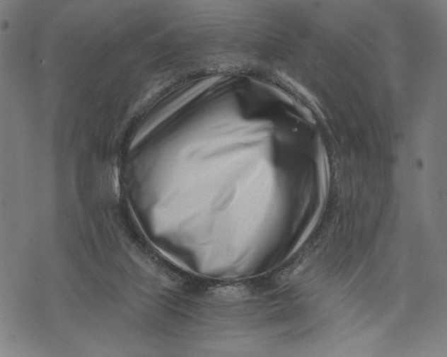 X0000073720067200608241242