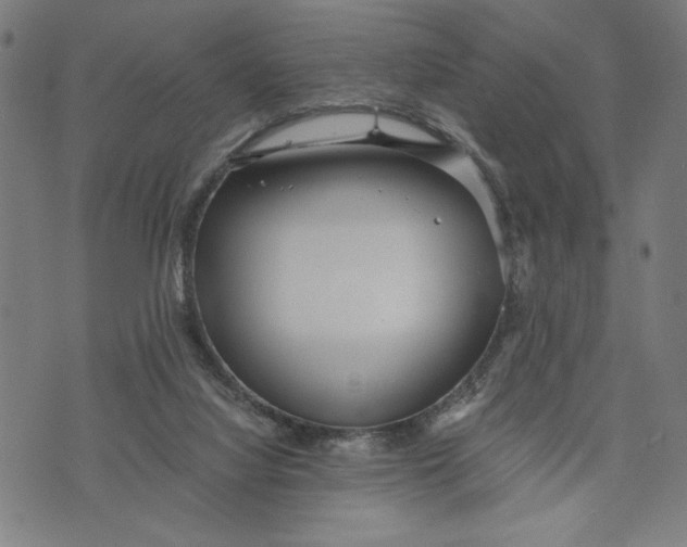 X0000073720068200608241242