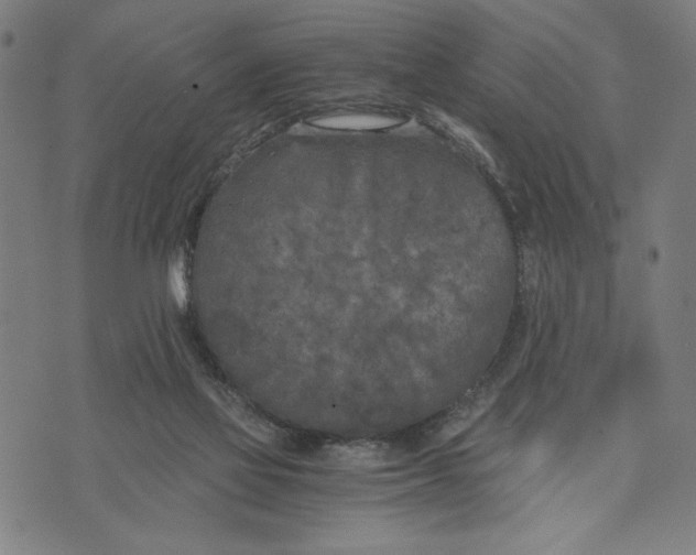 X0000073720069200608241242