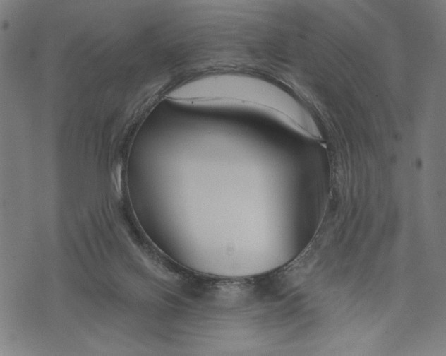 X0000073720070200608241242