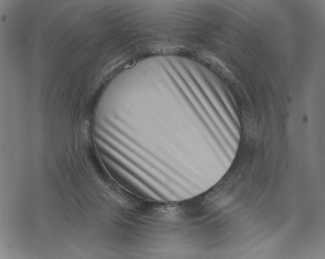 X0000073720071200608241242